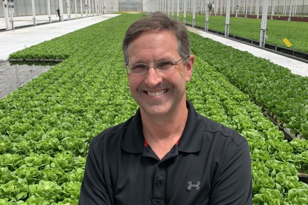New Revol Greens CEO brings Cargill experience to greenhouse lettuce ...